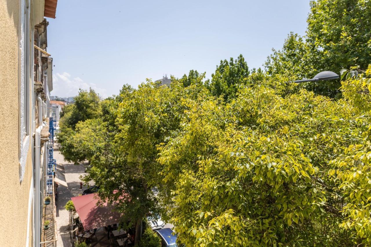 Setubal Citycenter Studios Kültér fotó